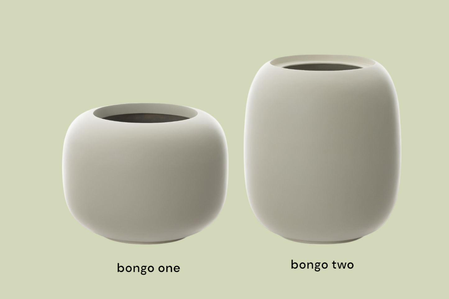 Bongo One