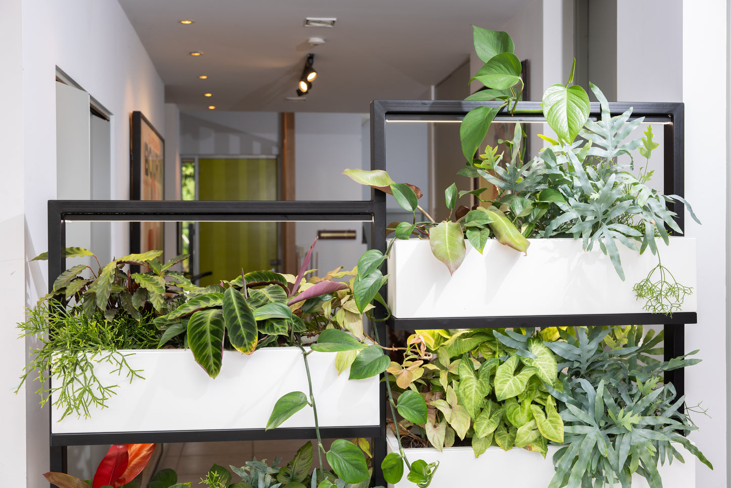 O2 Living Divider