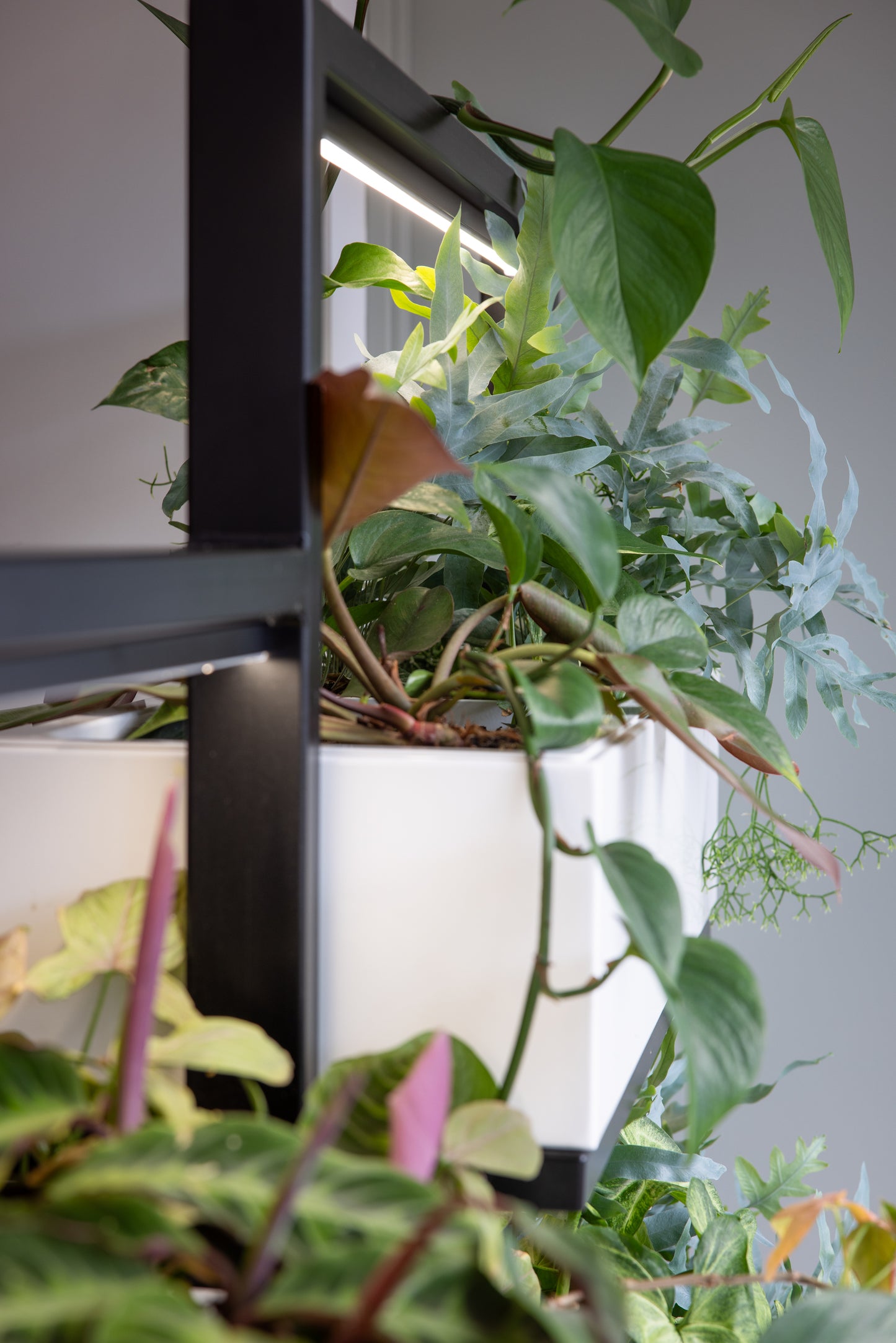O2 Living Divider