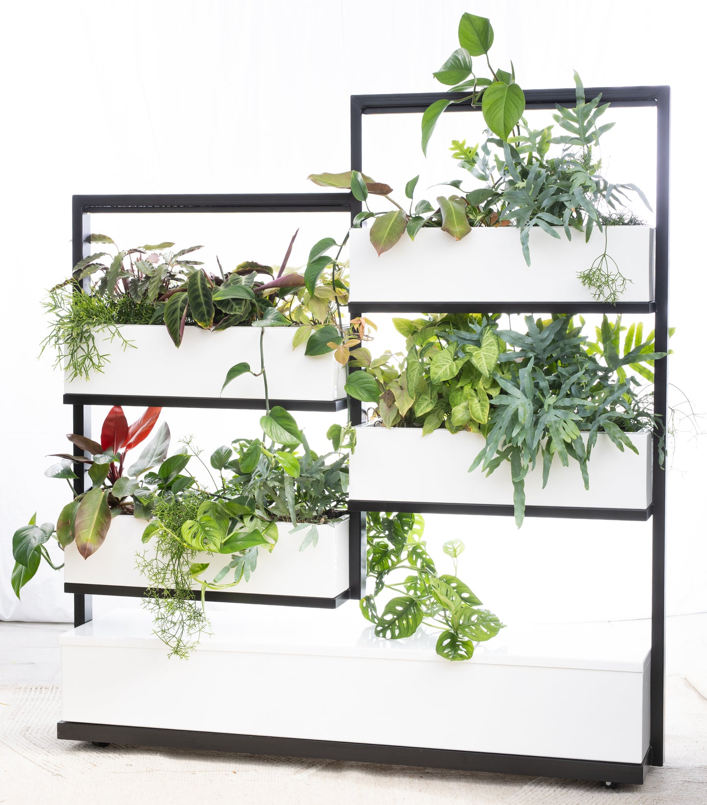 O2 Living Divider