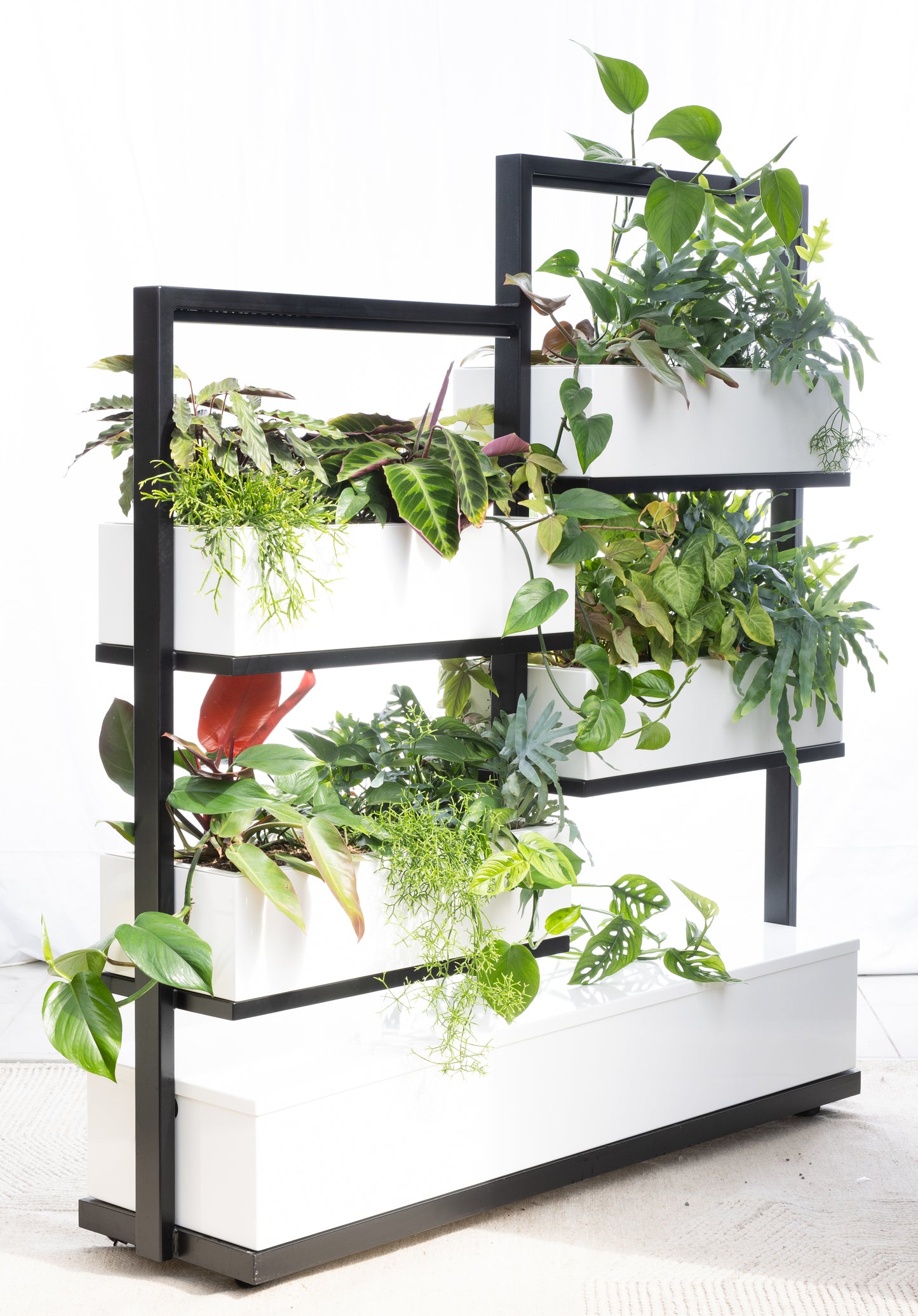 O2 Living Divider