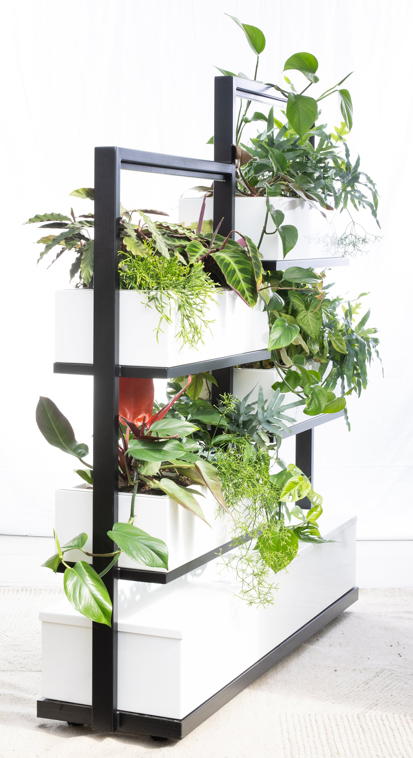 O2 Living Divider