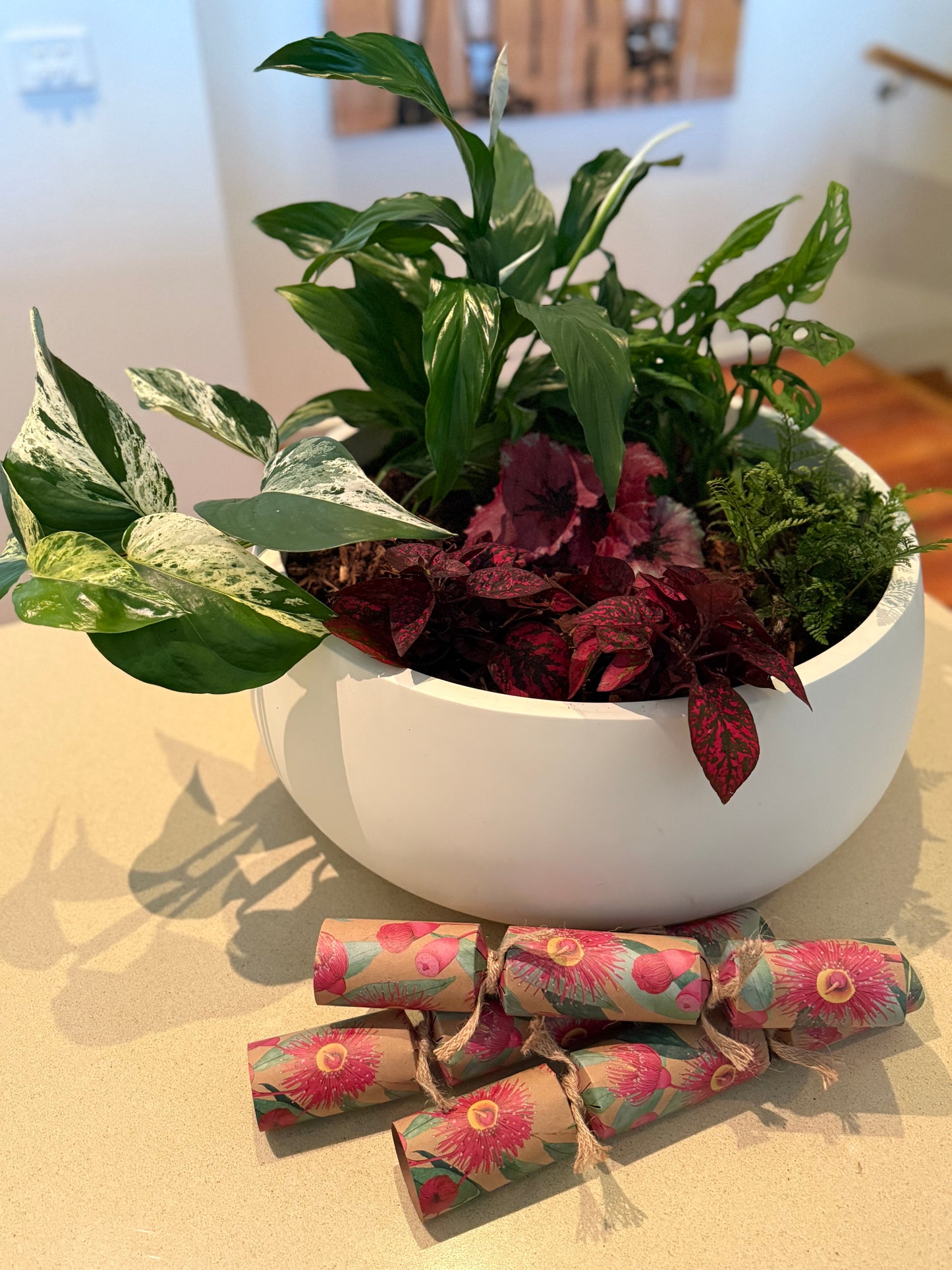 Pot & Plant Corporate Gifts - potted to order